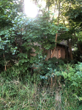 Anbau rechter Seite, August 2025