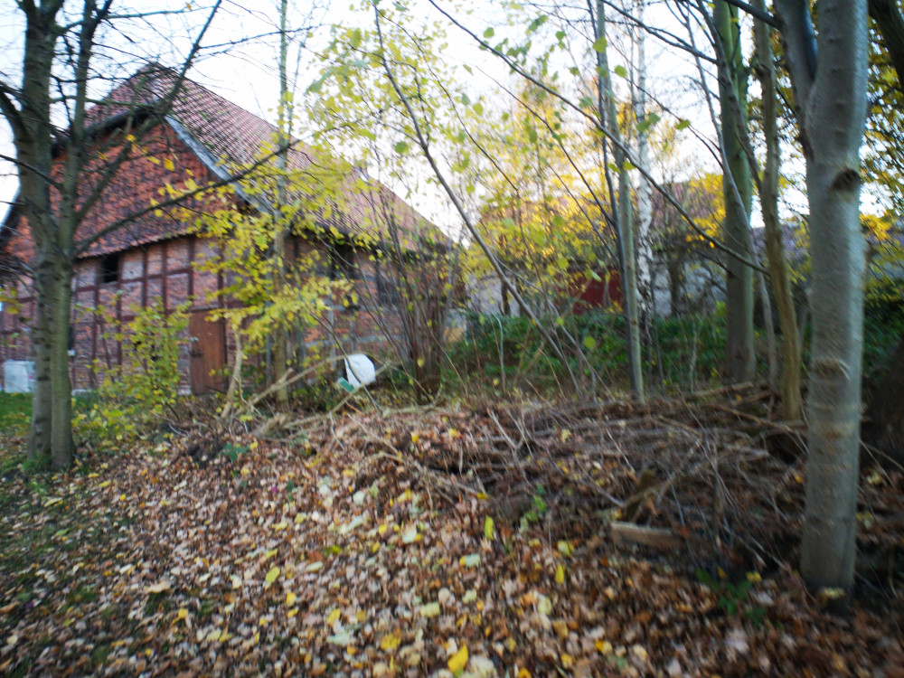 Rückansicht Fachwerkhaus