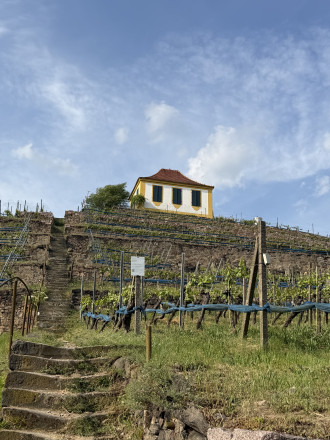 Blick in die Weinberge und auf die Luisenburg Richtung Norden