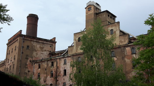 VEB Vereinigte Mälzereien Dresden