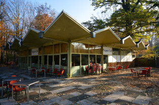 Pinguin-Café im Zoo Dresden