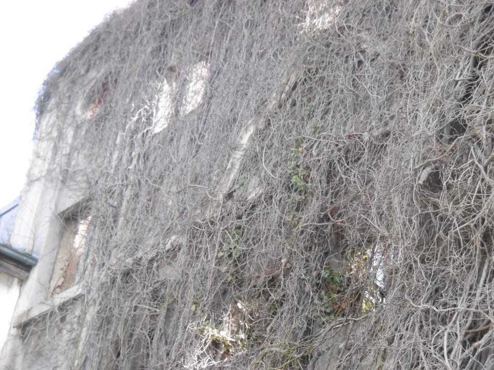 Fassade unsanierter Zustand