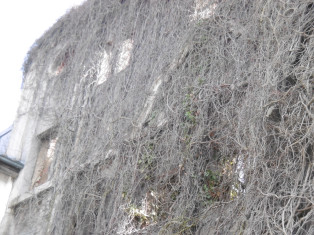 Fassade unsanierter Zustand