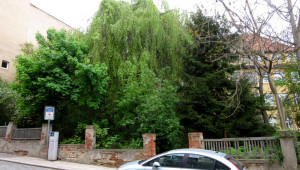 Beim Goldenen Pflug 4a