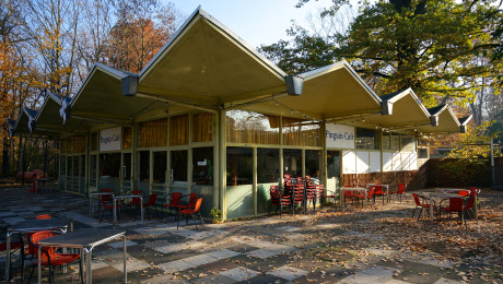 Pinguin-Café im Zoo Dresden