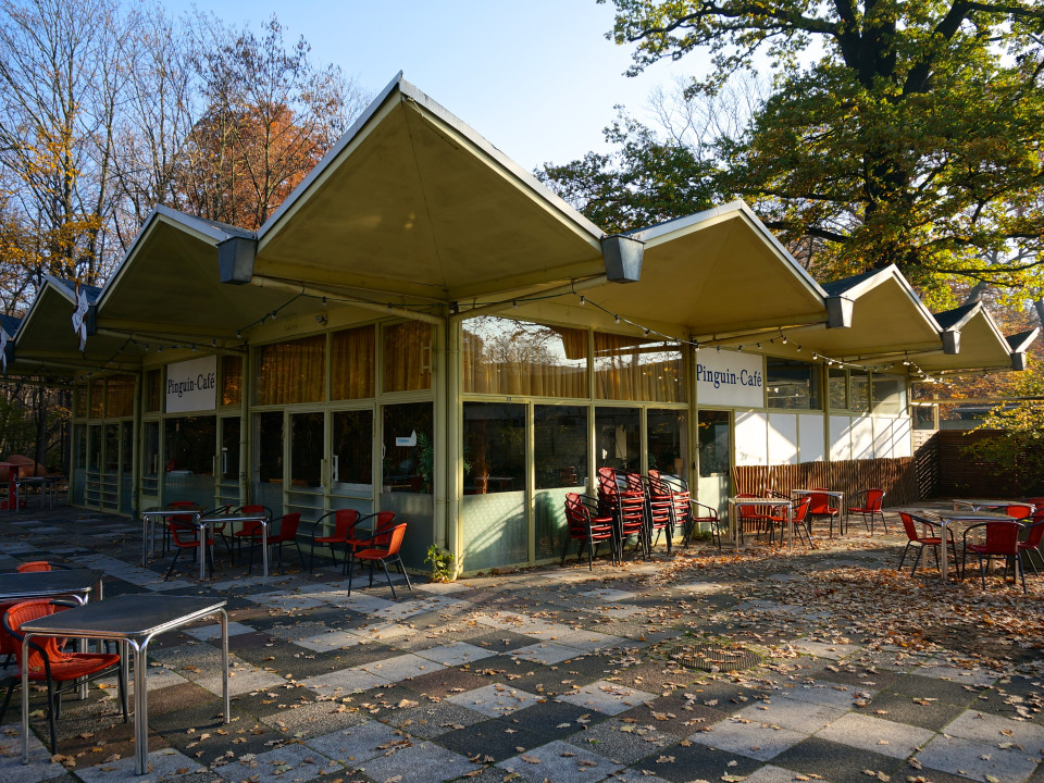 Pinguin-Café im Zoo Dresden