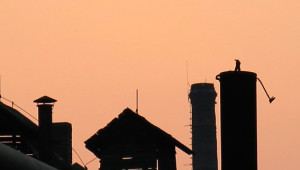 Illumination der Schwesternhäuser durch die Dresdner Künstlerin Andrea Hilger