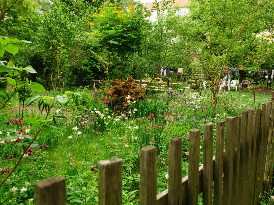 Blick in den Denkmalgeschützten Parzellengarten Garten