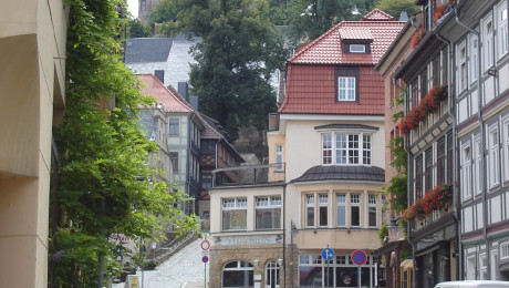 Schloss von der Stadt aus gesehen