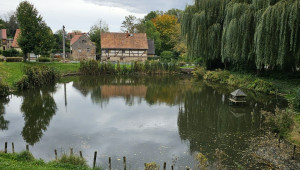 Zweiseithof sucht Liebhaber - vis-a-vis Schlossteich Schleinitz