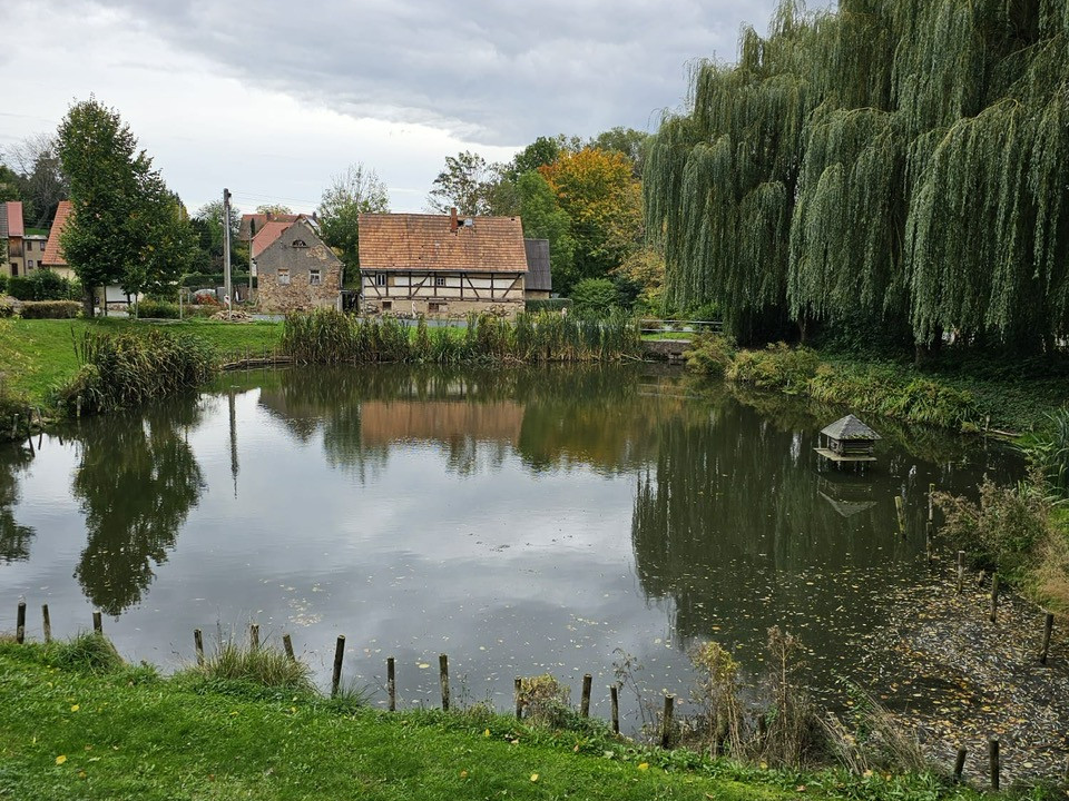 Wohnhaus, Einfahrt und Scheune